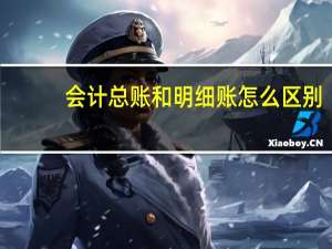 会计总账和明细账怎么区别