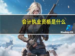 会计执业资格是什么