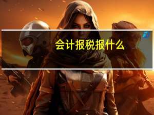 会计报税报什么