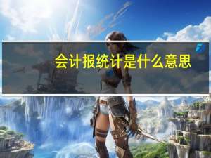 会计报统计是什么意思
