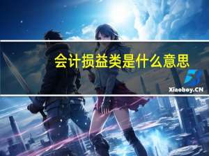 会计损益类是什么意思