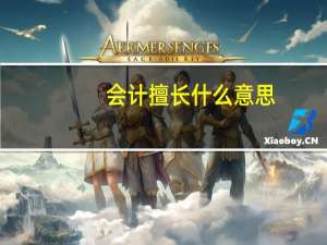 会计擅长什么意思