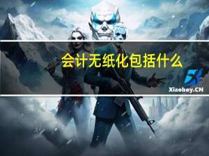 会计无纸化包括什么