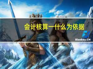 会计核算一什么为依据