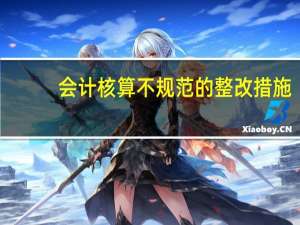 会计核算不规范的整改措施