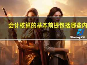 会计核算的基本前提包括哪些内容