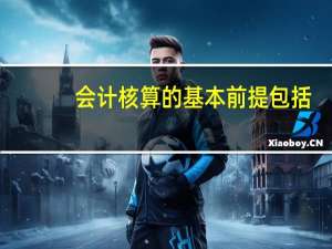 会计核算的基本前提包括