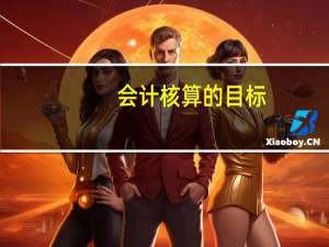会计核算的目标