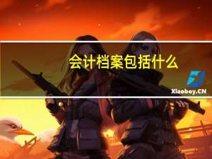 会计档案包括什么