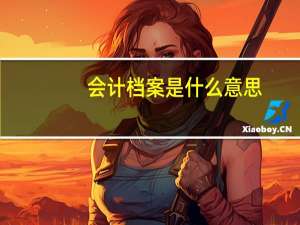 会计档案是什么意思