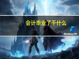 会计毕业了干什么