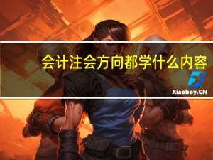 会计注会方向都学什么内容