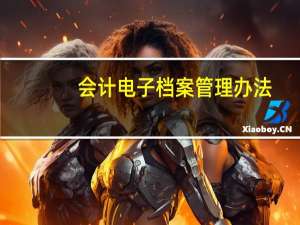 会计电子档案管理办法