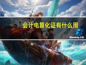 会计电算化证有什么用
