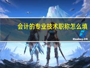 会计的专业技术职称怎么填