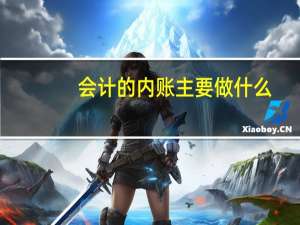 会计的内账主要做什么