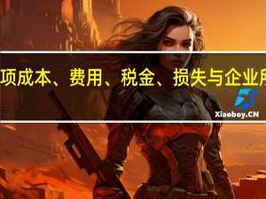 会计的各项成本、费用、税金、损失与企业所得税的相同吗