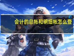 会计的总帐和明细帐怎么登