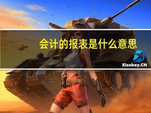 会计的报表是什么意思