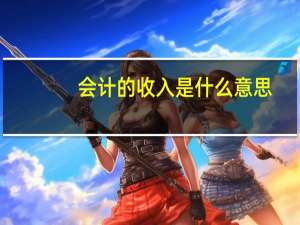 会计的收入是什么意思