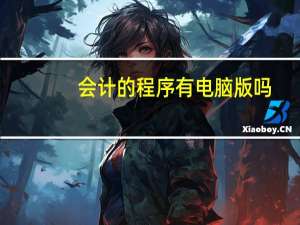 会计的程序有电脑版吗