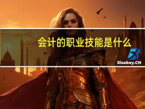 会计的职业技能是什么