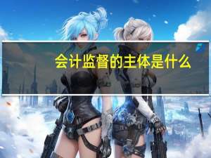 会计监督的主体是什么