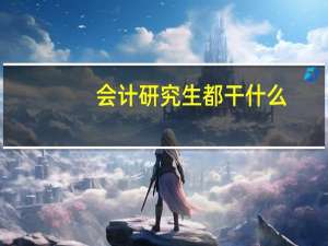 会计研究生都干什么