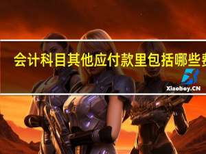 会计科目其他应付款里包括哪些费用（会计科目其他应付款里包括哪些）