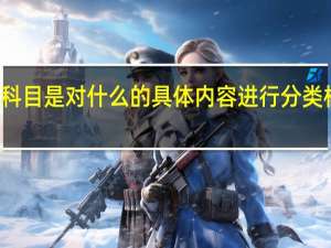 会计科目是对什么的具体内容进行分类核算的项目
