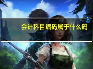 会计科目编码属于什么码