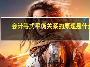 会计等式平衡关系的原理是什么