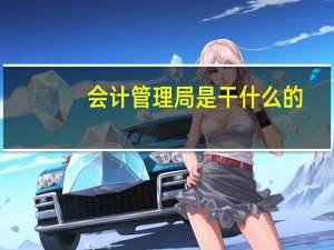 会计管理局是干什么的