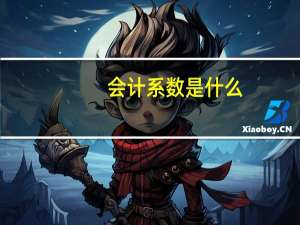 会计系数是什么