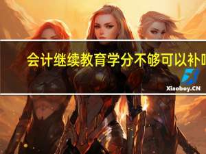 会计继续教育学分不够可以补吗