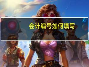 会计编号如何填写