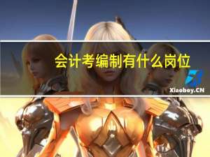 会计考编制有什么岗位