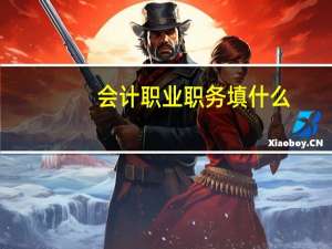 会计职业职务填什么