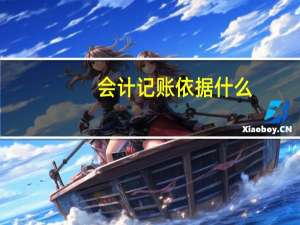 会计记账依据什么