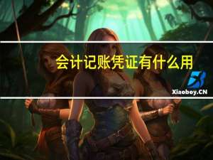 会计记账凭证有什么用