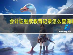 会计证继续教育记录怎么查询啊