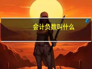 会计负数叫什么