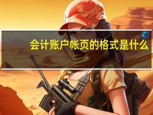 会计账户帐页的格式是什么