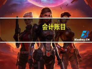 会计账目