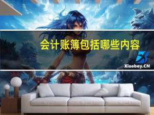 会计账簿包括哪些内容