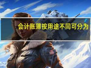 会计账簿按用途不同可分为