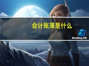 会计账簿是什么