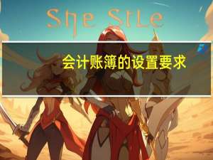 会计账簿的设置要求