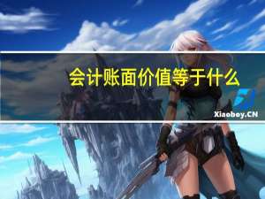 会计账面价值等于什么