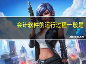 会计软件的运行过程一般是（会计软件的合法性）